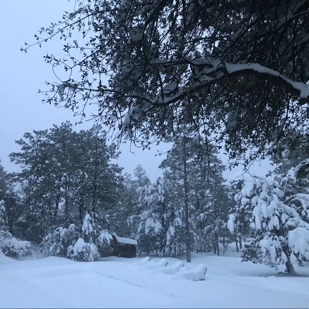 Meet your Posher, Elyse